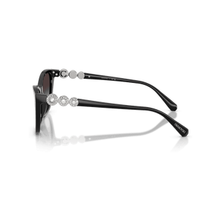 Sunglasses, Cat-eye shape, SK6068, Black