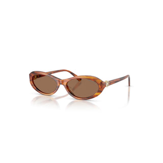 Sunglasses, Oval shape, SK6069, Havana