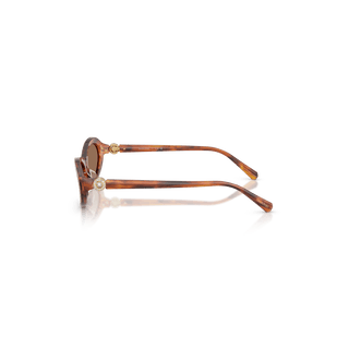 Sunglasses, Oval shape, SK6069, Havana