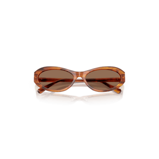 Sunglasses, Oval shape, SK6069, Havana