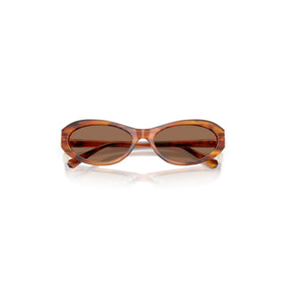 Sunglasses, Oval shape, SK6069, Havana