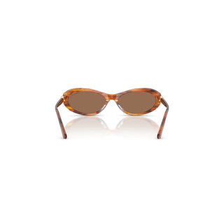 Sunglasses, Oval shape, SK6069, Havana