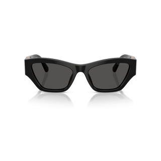 Sunglasses, Cat-eye shape, SK6076, Black