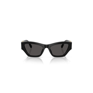 Sunglasses, Cat-eye shape, SK6076, Black