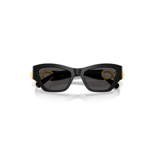 Sunglasses, Cat-eye shape, SK6076, Black
