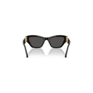 Sunglasses, Cat-eye shape, SK6076, Black