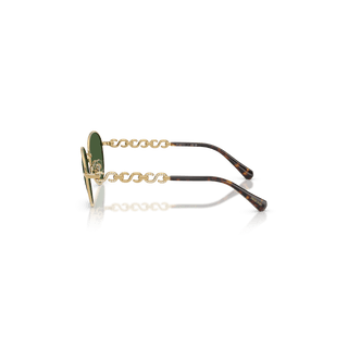 Sunglasses, Round shape, SK7049, Gold tone