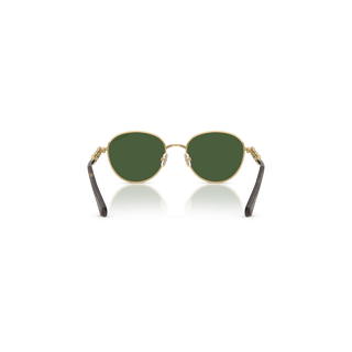 Sunglasses, Round shape, SK7049, Gold tone