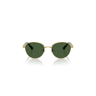 Sunglasses, Round shape, SK7049, Gold tone