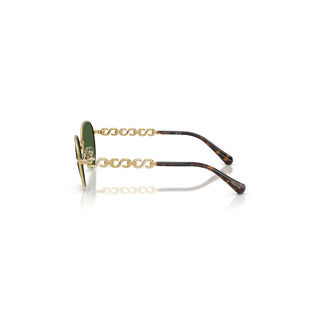 Sunglasses, Round shape, SK7049, Gold tone