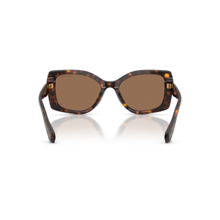 Sunglasses, Pillow shape, SK6058U, Brown