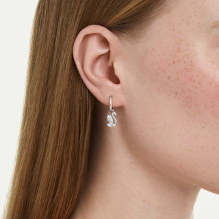 Swan drop earrings, Mixed cuts, Swan, White, Rhodium plated