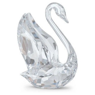 Signum Swan
Small