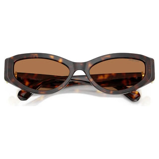 Sunglasses
Cat-eye shape, SK6045, Brown