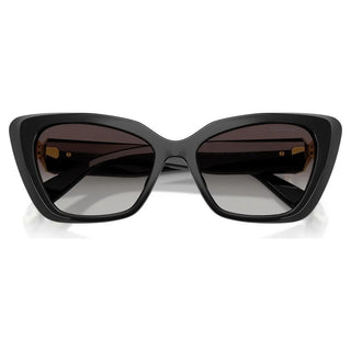 Sunglasses
Cat-eye shape, SK6047, Black