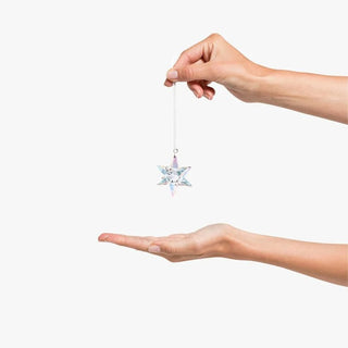 Star Ornament
Shimmer, medium